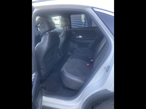 DS DS 7 Crossback E-TENSE 225ch Performance Line +