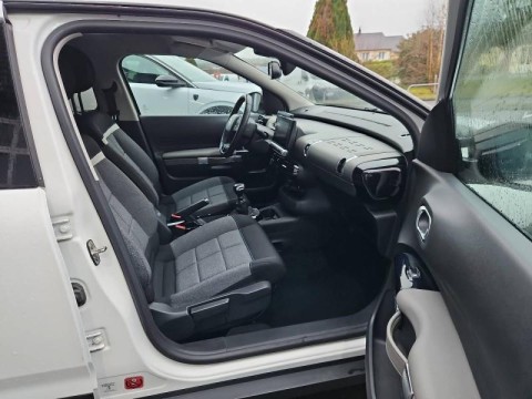 CITROEN C4 Cactus BlueHDi 100ch S&S Feel E6.d