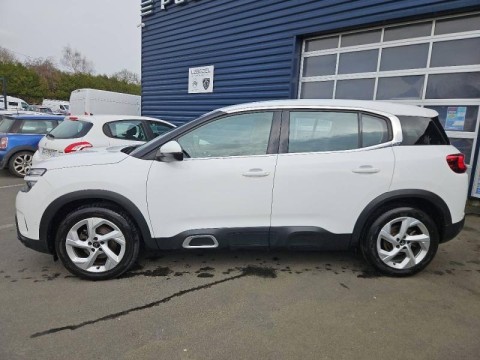 CITROEN C5 Aircross BlueHDi 130ch S&S Business EAT8 E6.d