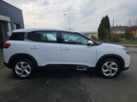 CITROEN C5 Aircross BlueHDi 130ch S&S Business EAT8 E6.d